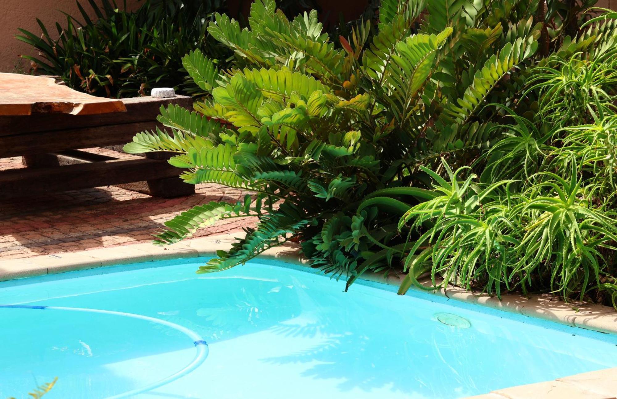 Bed and Breakfast The Leopard Tree Polokwane Esterno foto